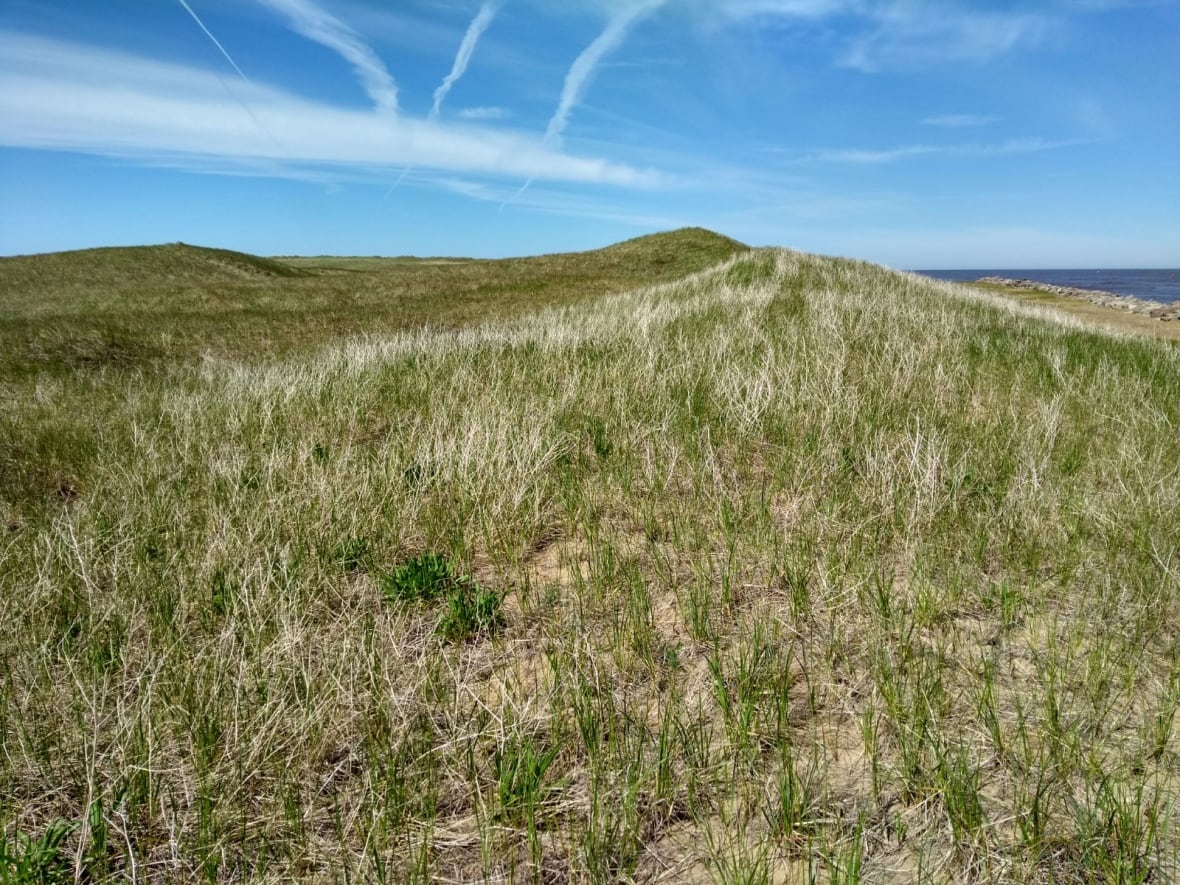 Miller says allowing a golf course at West Mabou Beach would create a precedent that could open up all parks and protected areas in Nova Scotia to development. (Submitted by Alain Belliveau)